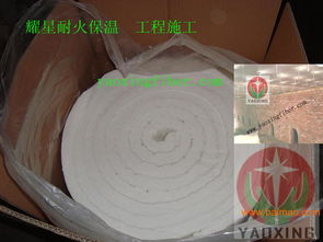 頁(yè)巖磚窯內(nèi)襯吊頂施工 含鋯陶瓷纖維毯 高鋁陶瓷纖維,頁(yè)巖磚窯內(nèi)襯吊頂施工 含鋯陶瓷纖維毯 高鋁陶瓷纖維生產(chǎn)廠家,頁(yè)巖磚窯內(nèi)襯吊頂施工 含鋯陶瓷纖維毯 高鋁陶瓷纖維價(jià)格